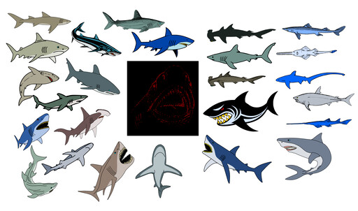 A Group 의 Sharks 에 The 모양 의 A 원형