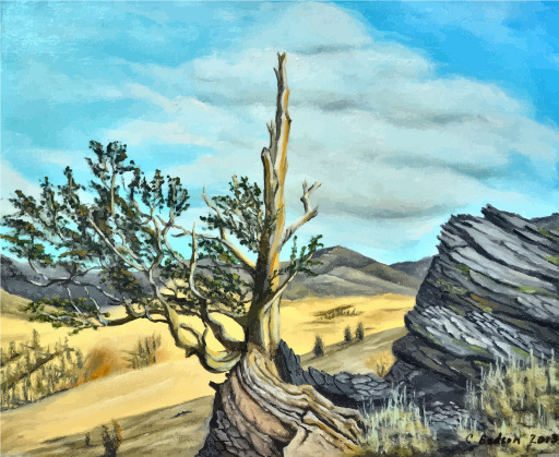 A Lone 트리 에 The Desert
