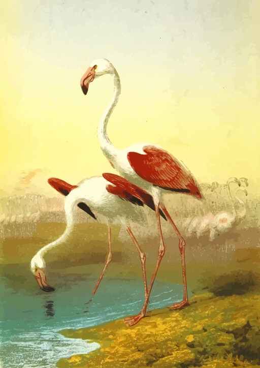 물의 몸에 다음 2 플라밍고의 그림