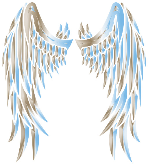 Blue Angel Wings의 쌍
