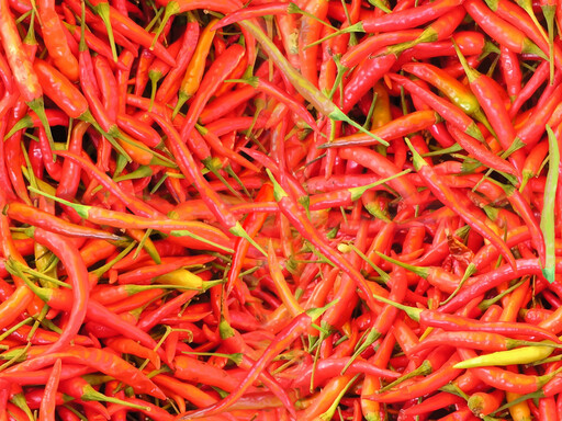 붉은 칠리 Peppers의 더미