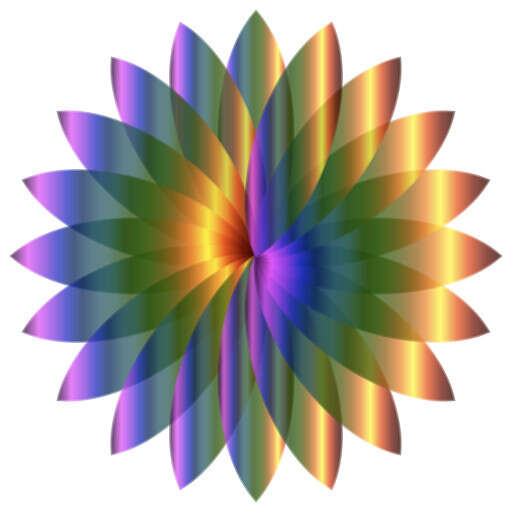 A Rainbow Colored Flower On A White Background(6)