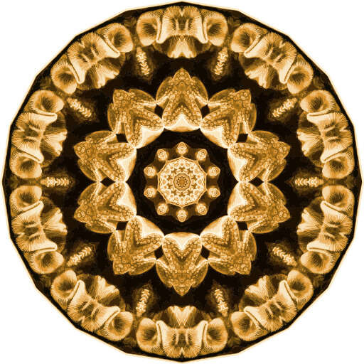 A Starfish In A Circular Pattern