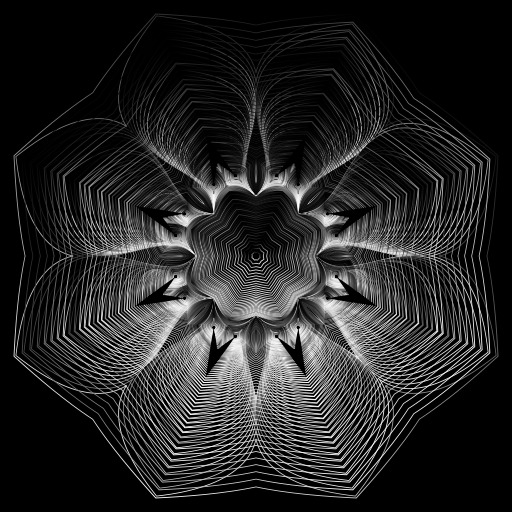 라인-art-spider-web-gyromitra-04