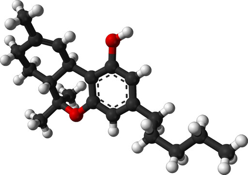펩티드 Molecule의 구조