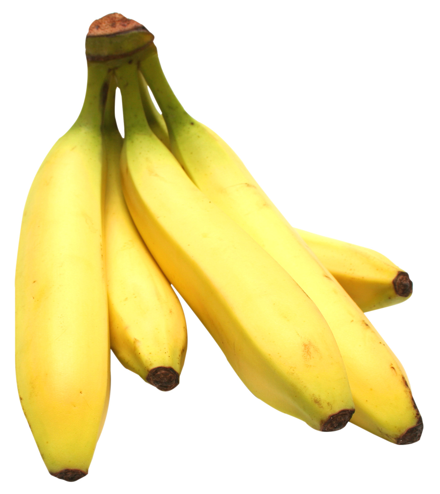 흰색 배경 위의 bunch bananas