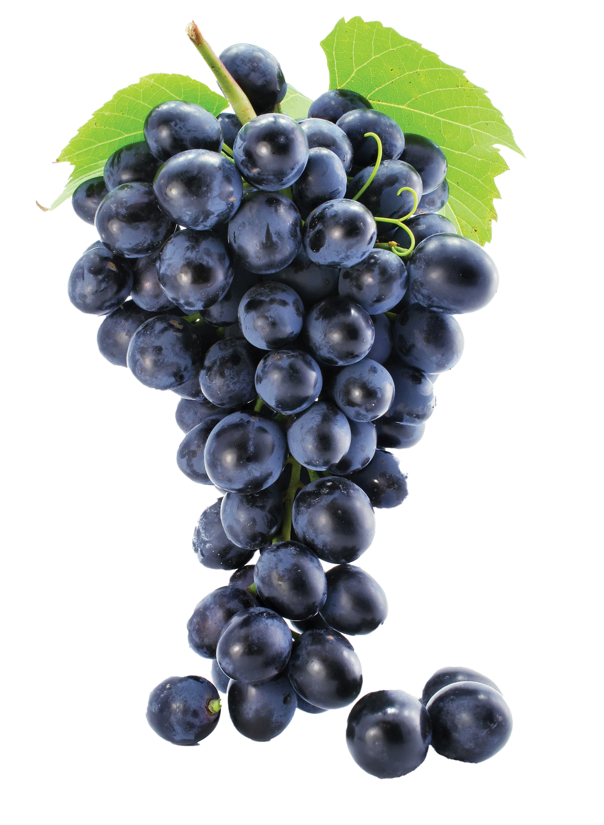흰색 배경 위의 bunch grapes 함께 잎
