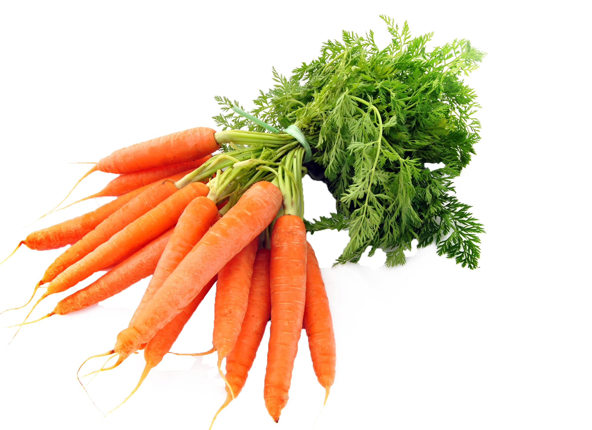 흰색 surface 위의 bunch carrots