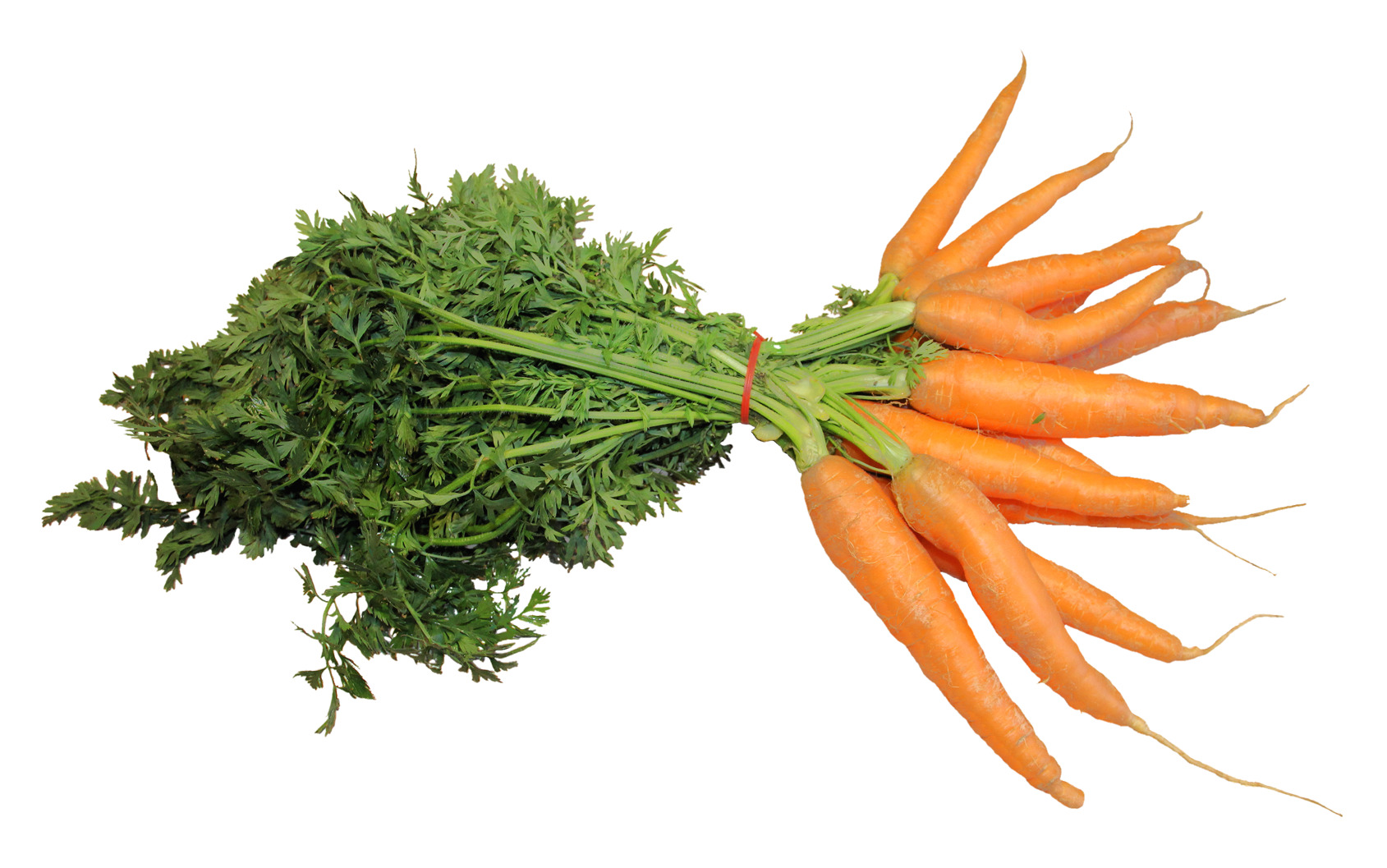 흰색 배경 위의 bunch carrots