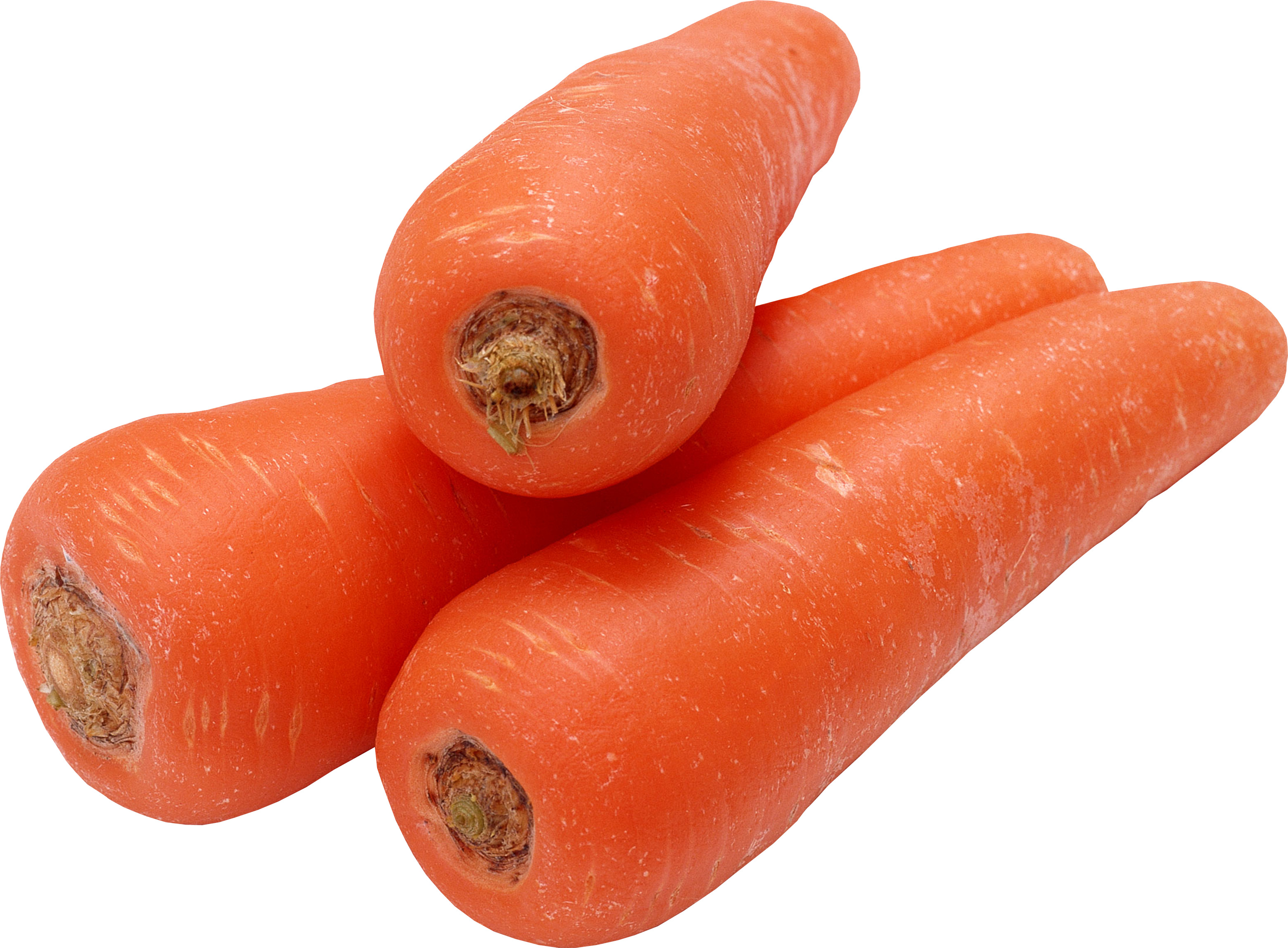 흰색 배경 위의 group carrots