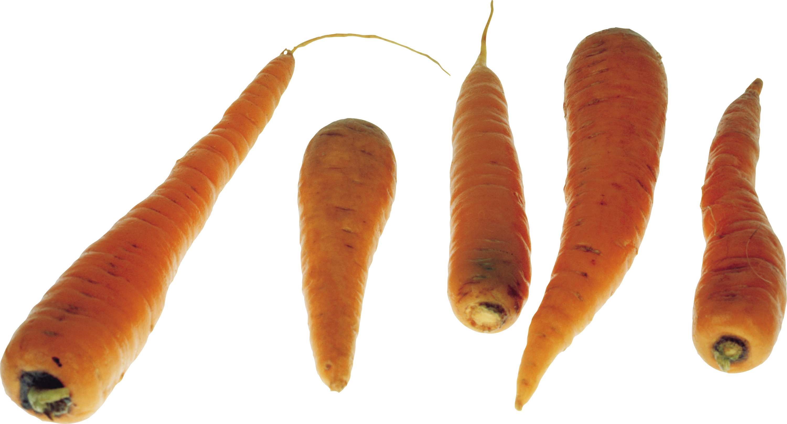 흰색 배경 위의 group carrots