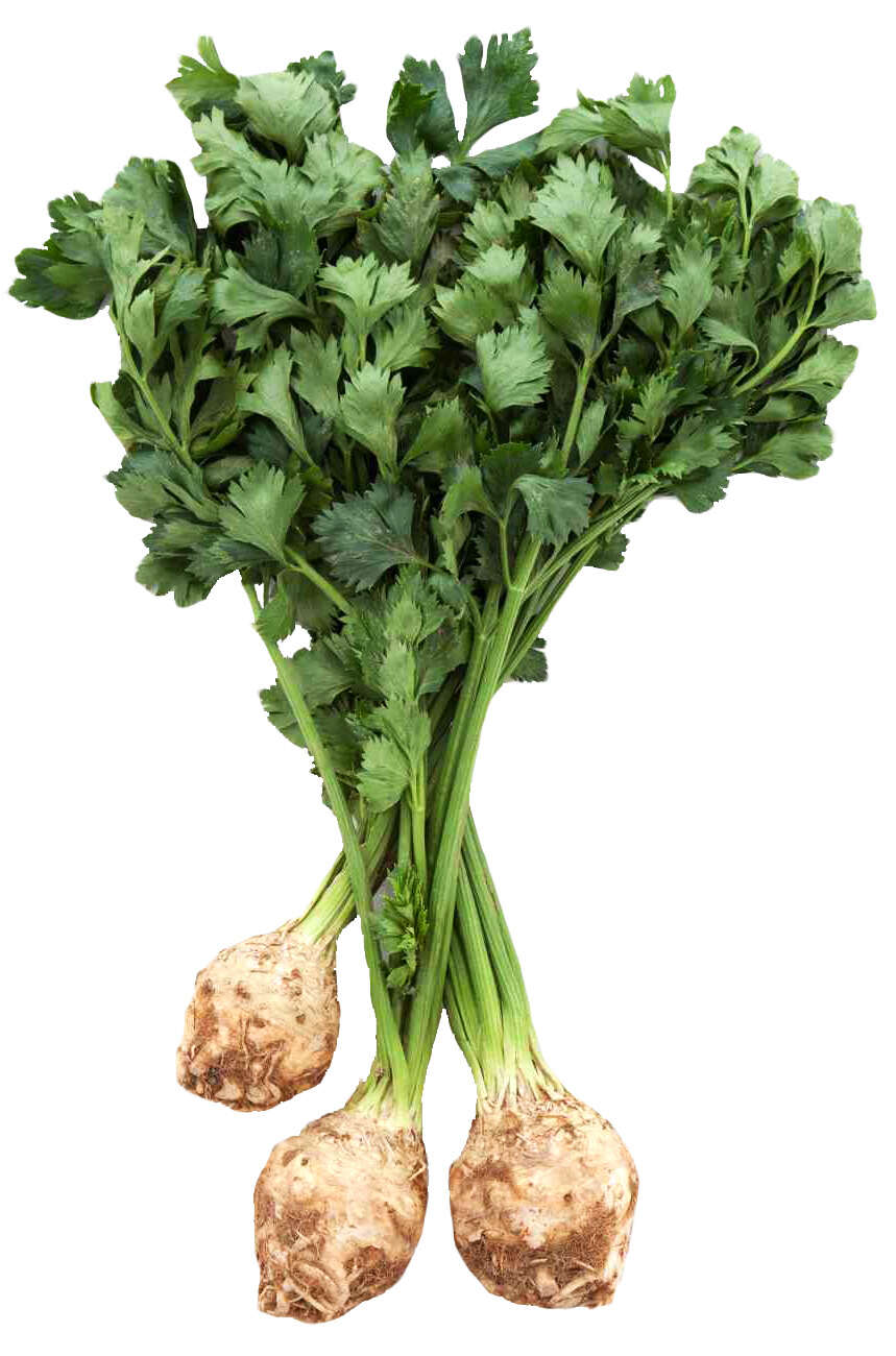 Two bunches of parsleya on top of each other