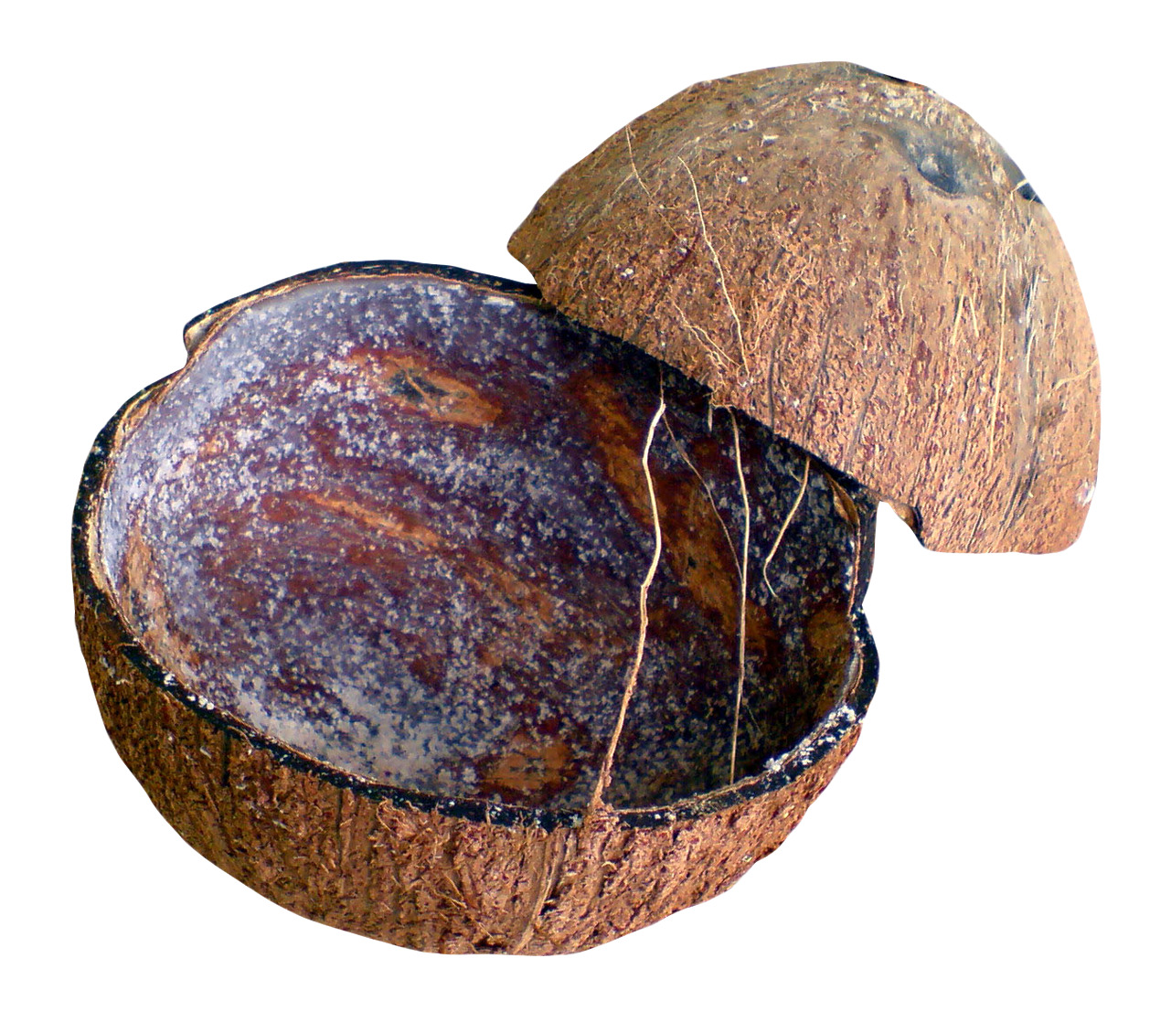 흰색 배경 위의 inside coconut shell