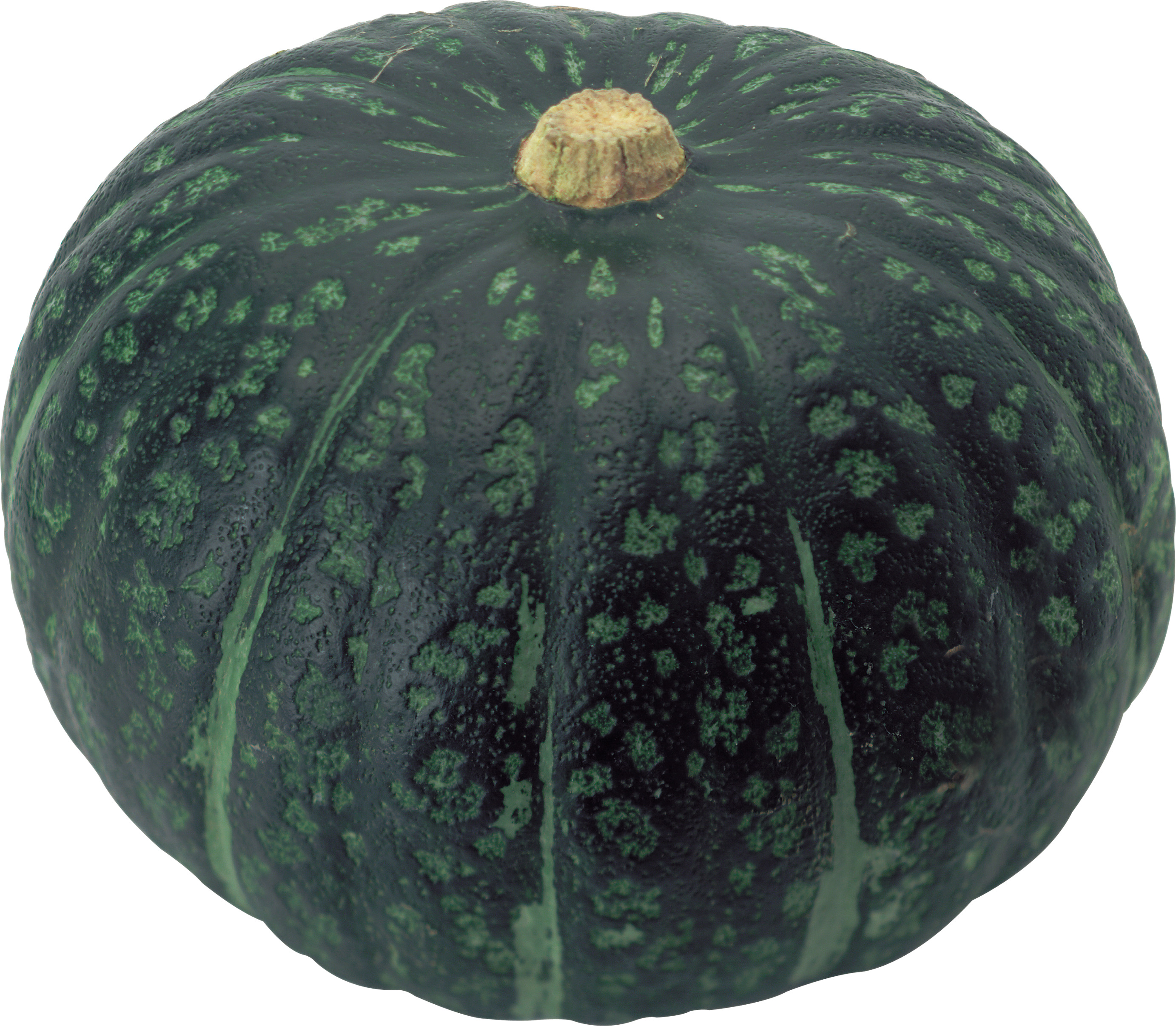흰색 배경 위의 초록색 와 검은색 pumpkin
