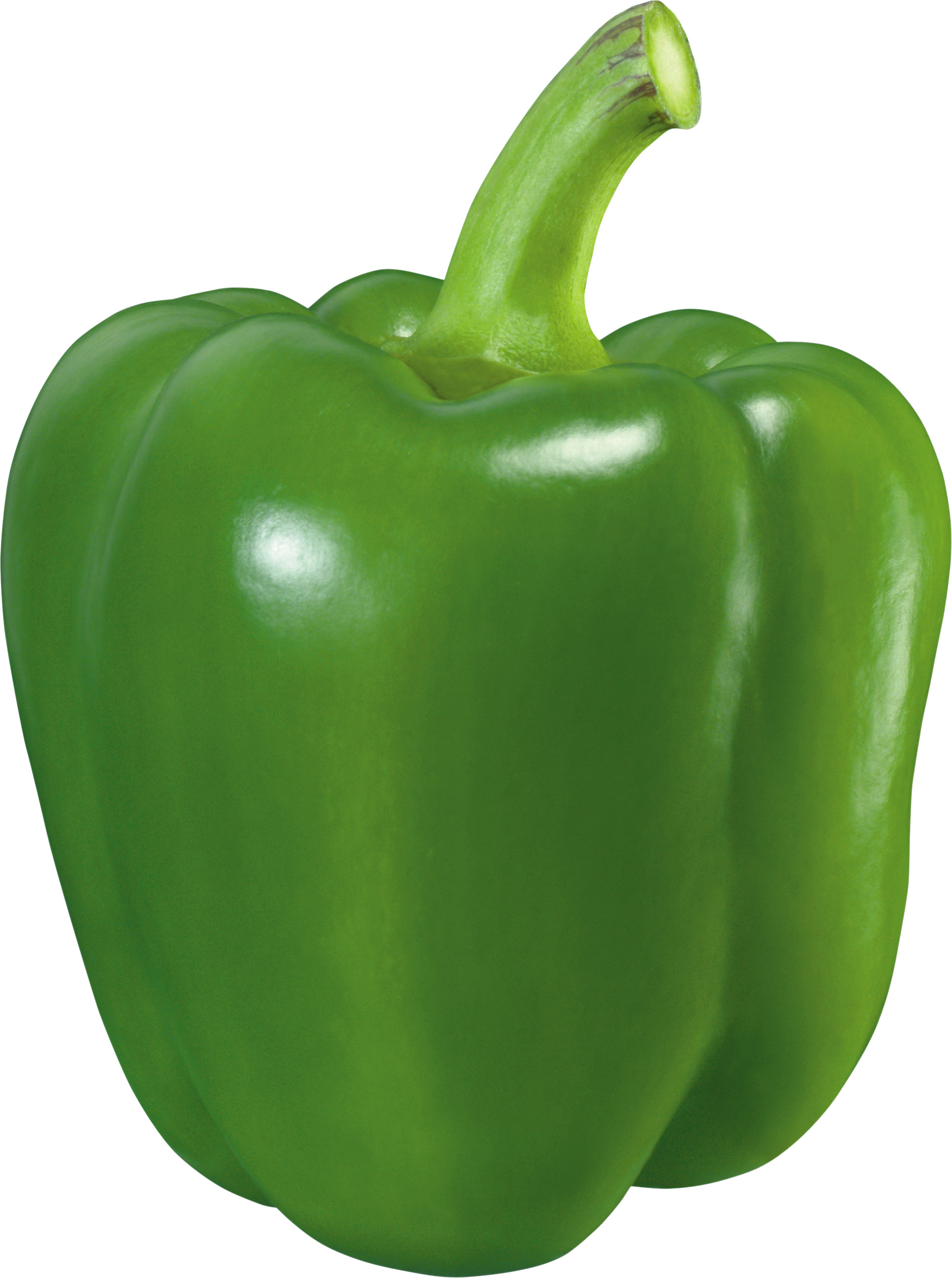 흰색 배경 위의 초록색 pepper