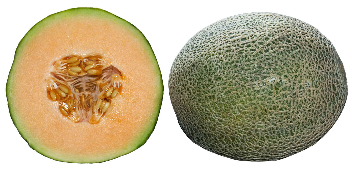 Two pieces of melon next to each other on a white surface