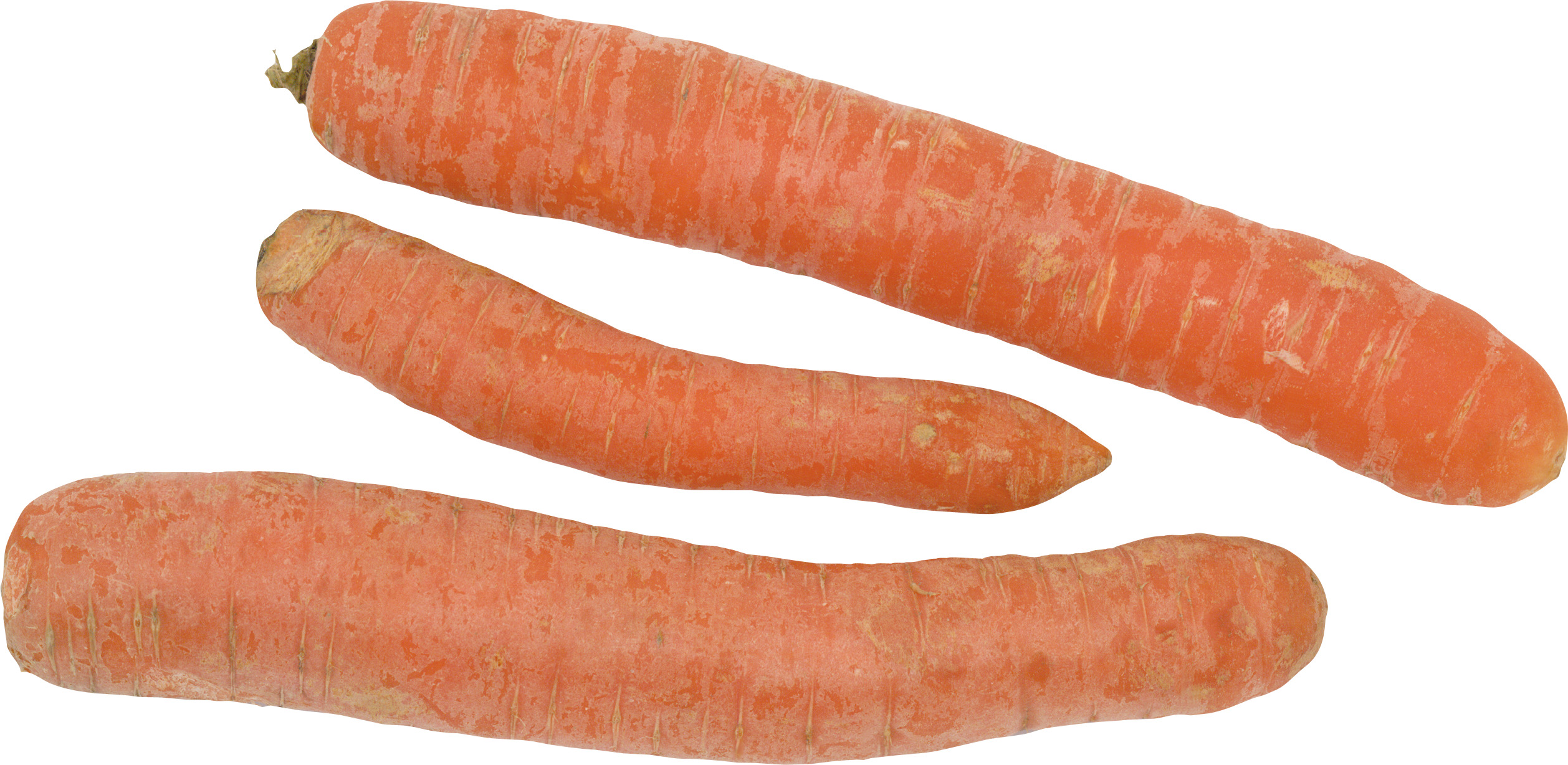 흰색 배경 위의 group carrots