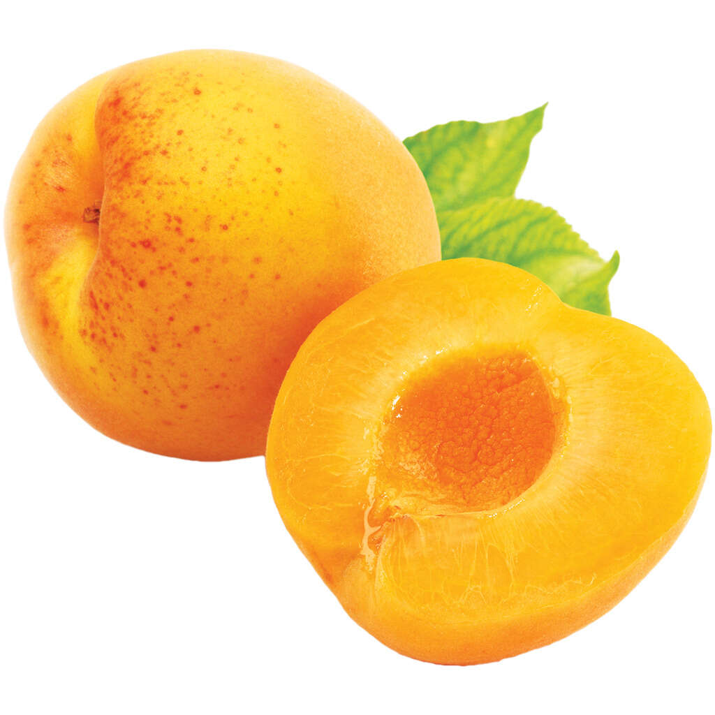Two pieces of apricot next to each other on a white background