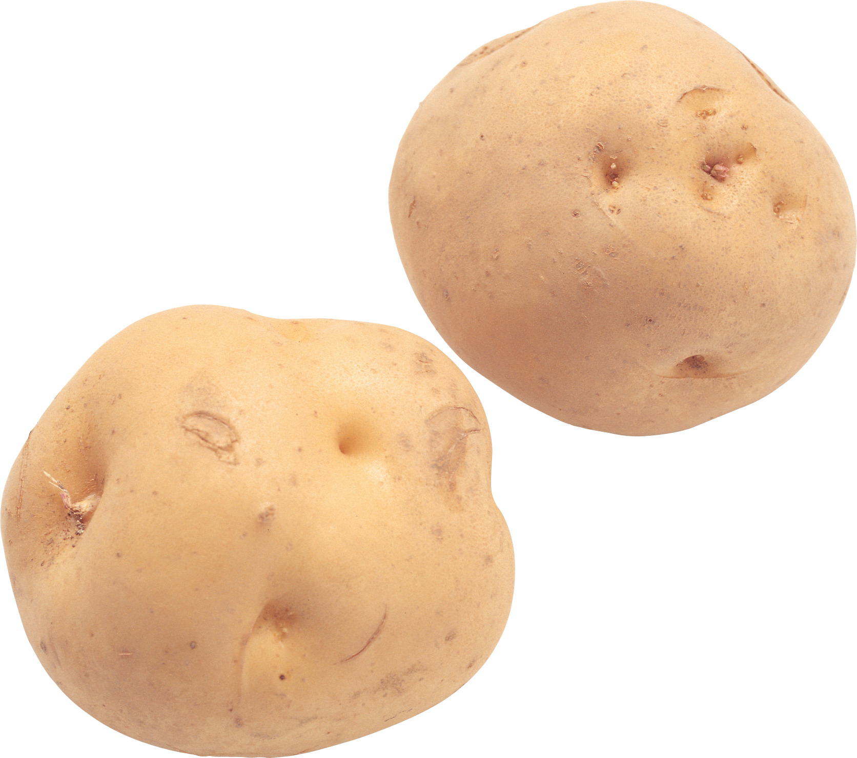 흰색 배경 9 위의 potato