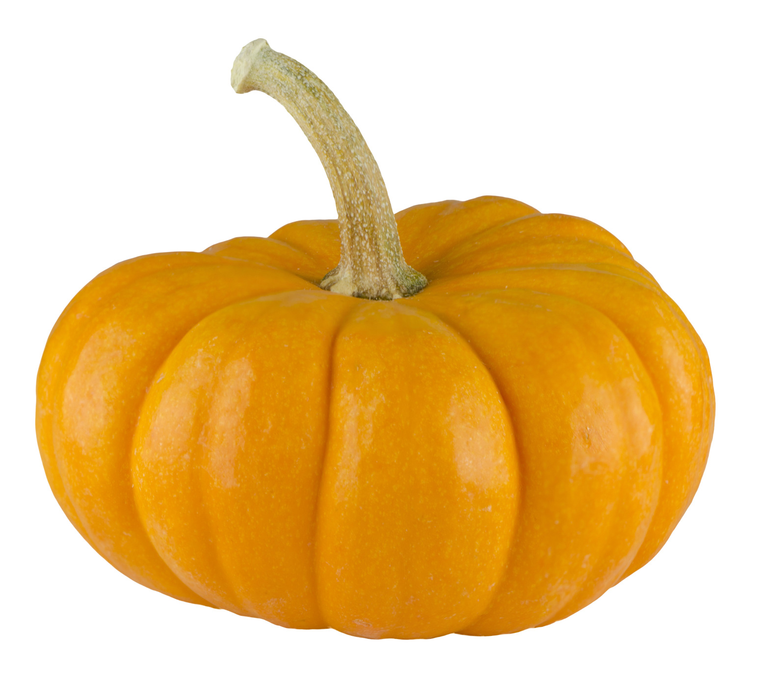 노란색 pumpkin