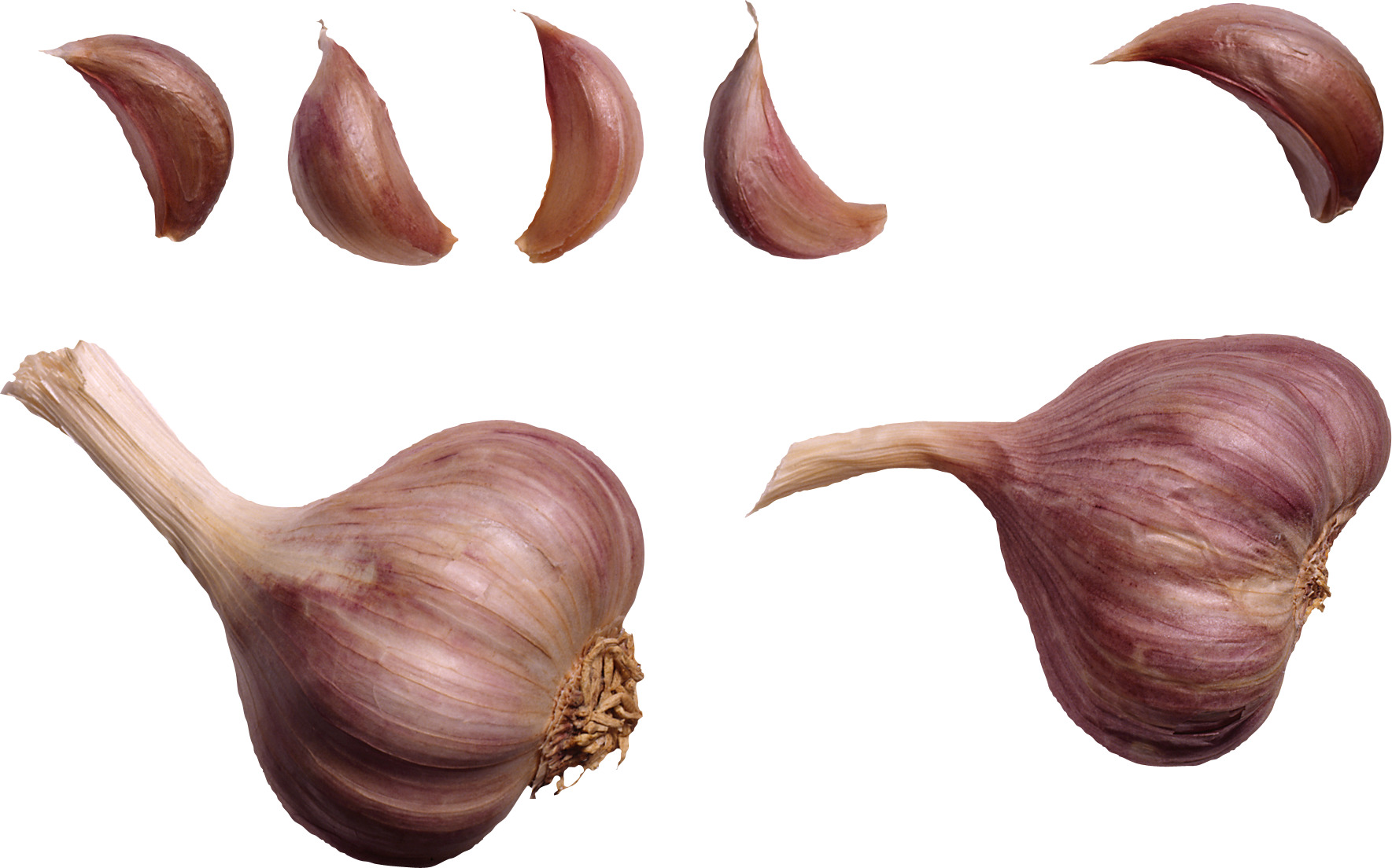 half 와 whole 안의 onion cut