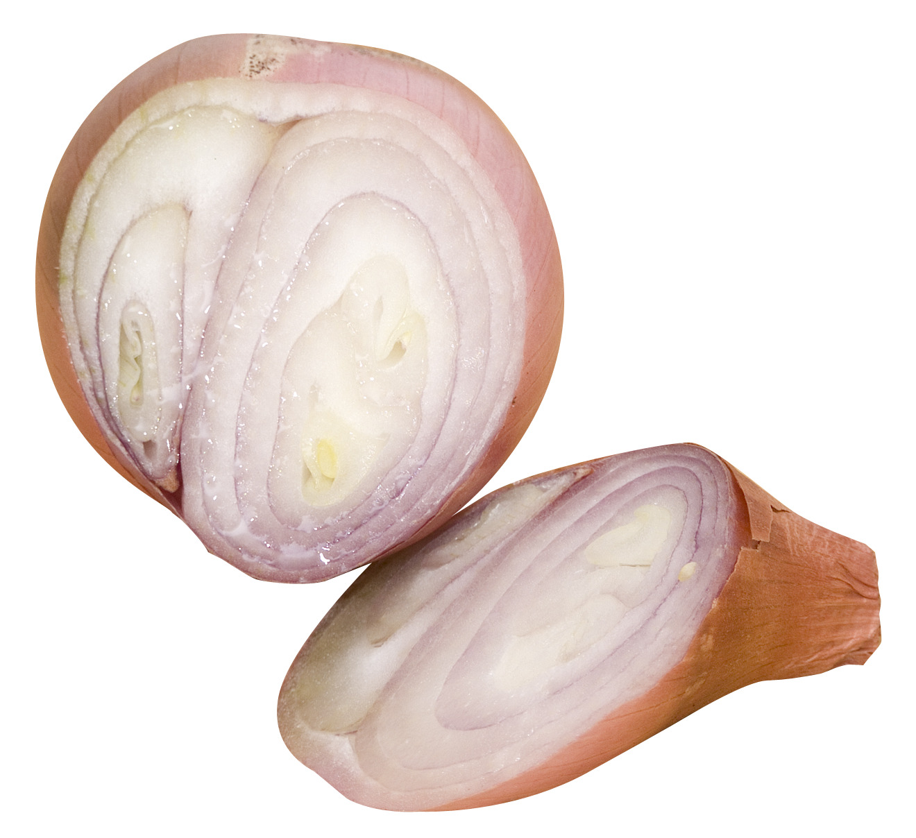 흰색 배경 위의 onion cut 안의 half
