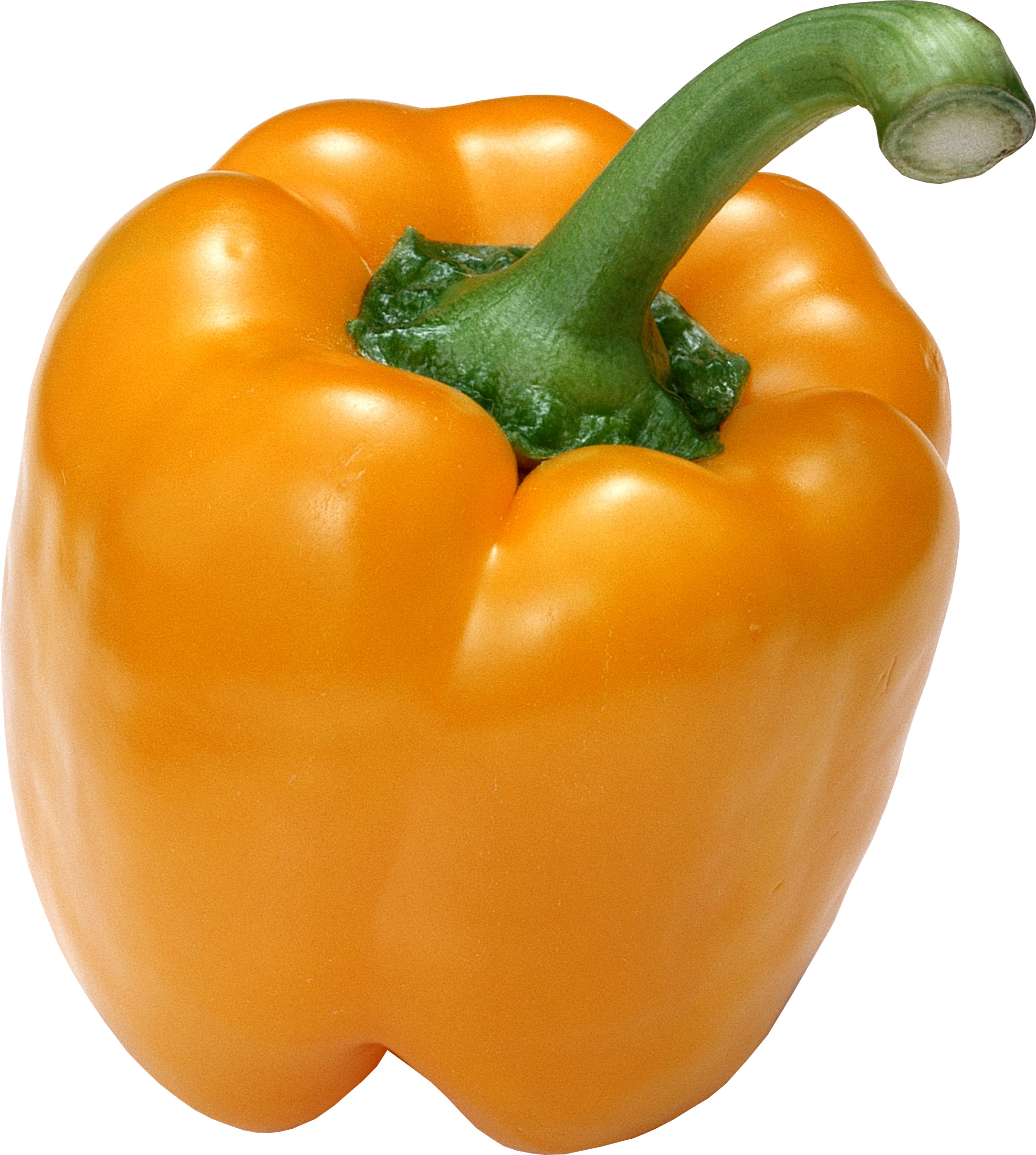 주황색 bell pepper 2