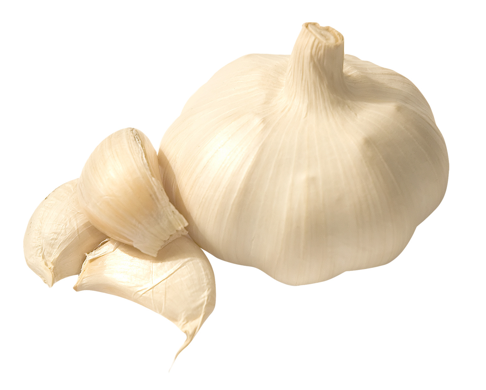 흰색 배경 위의 clove garlic