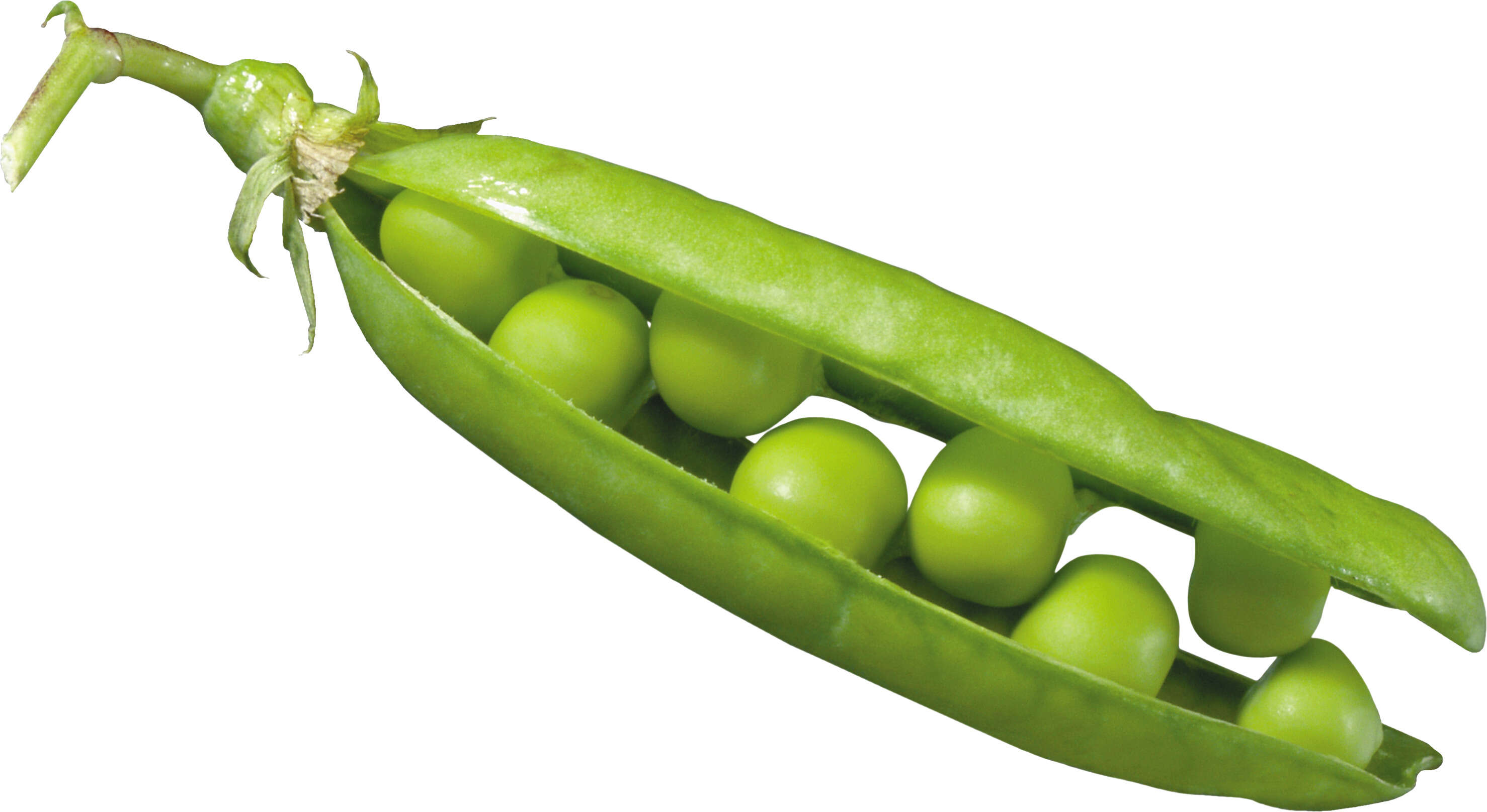 A Pea Pod With Green Peas On A White Background