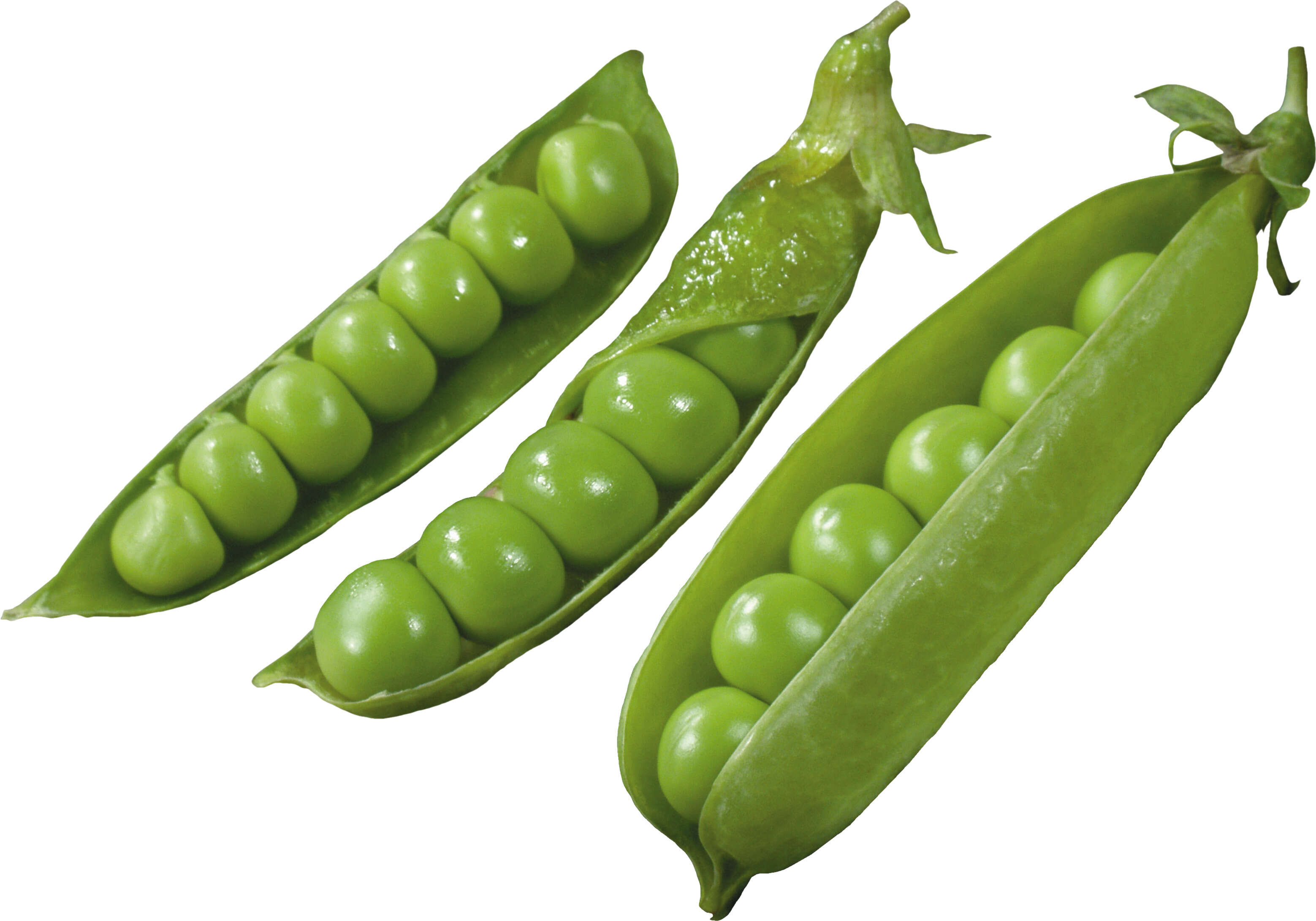 Three Peas On A White Background