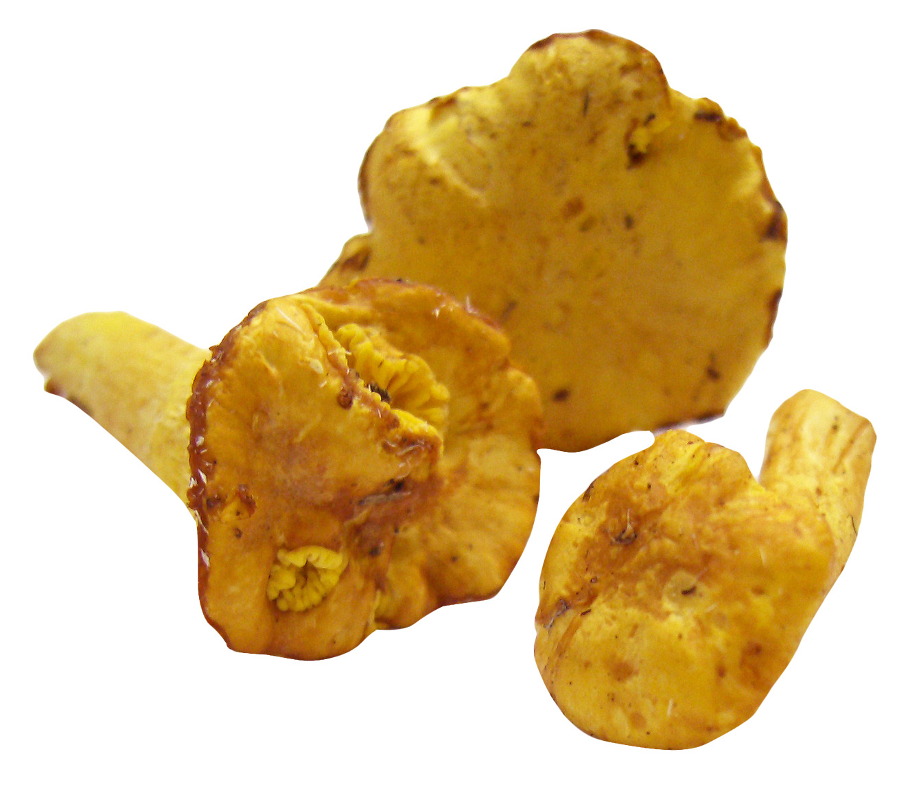 흰색 배경 위의 potato chips