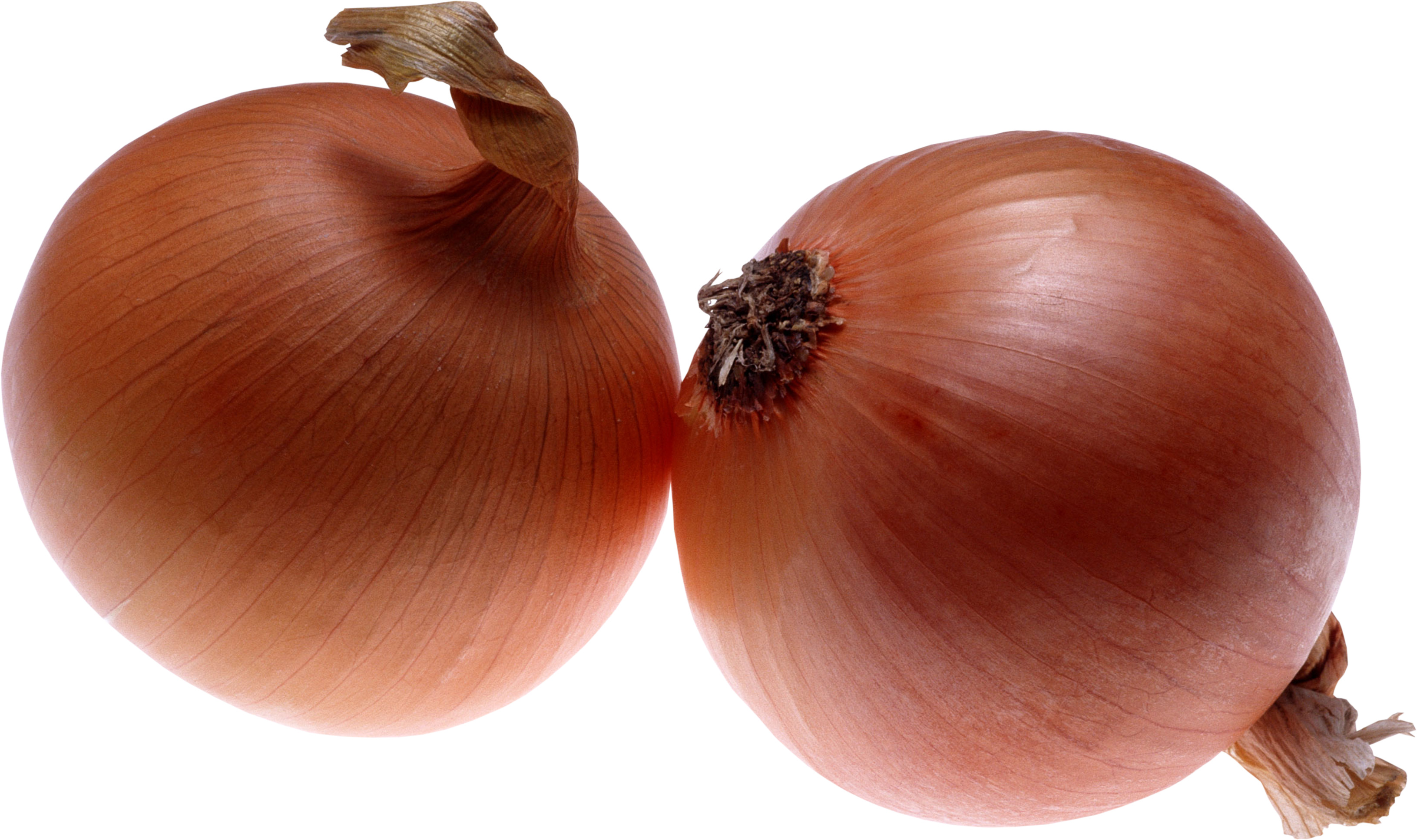 two onions