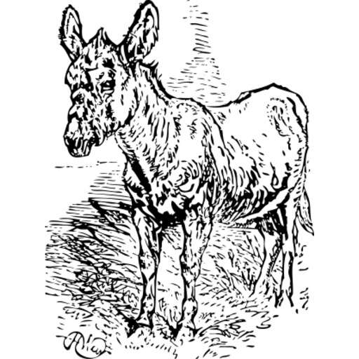 Black and White Drawing of a Cow Standing in the Grass Vector Illustration