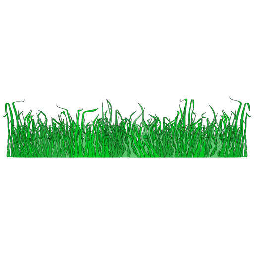 A Field Of Green Grass