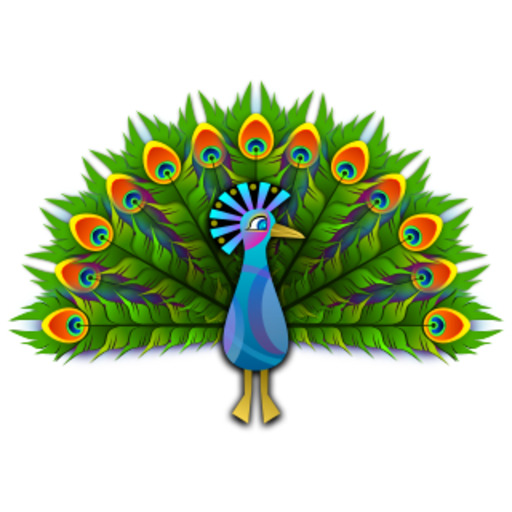 A Peacock 와 다채로운 깃털
