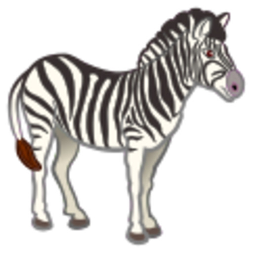 흰색 배경의 전면에 서 Zebra