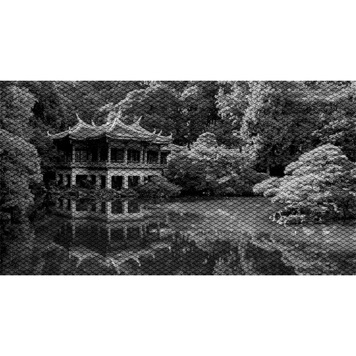 검은 배경에 책