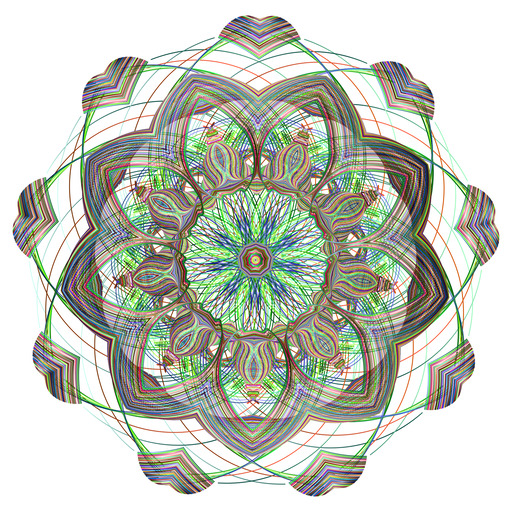 흰색 배경에 다색 꽃