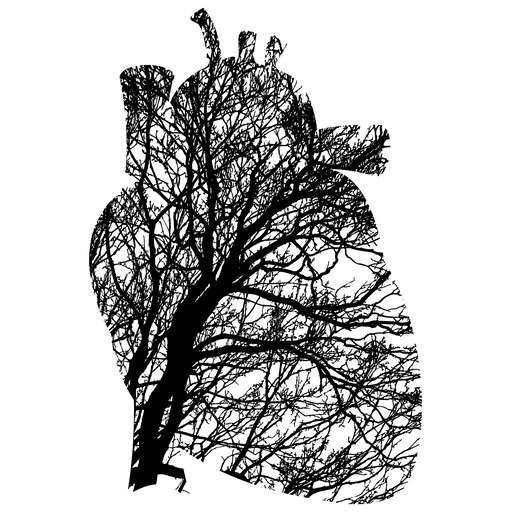 A Tree And A Human Heart
