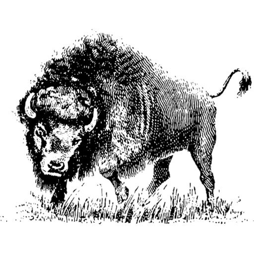 Bison의 조각