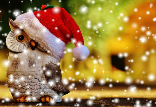 santa 모자 안의 눈을 입은 owl