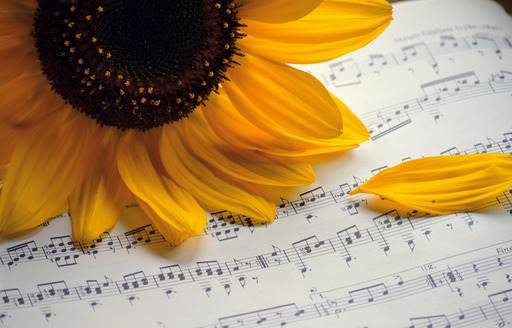 해바라기 와 music notes