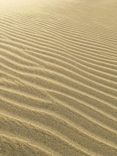 모래