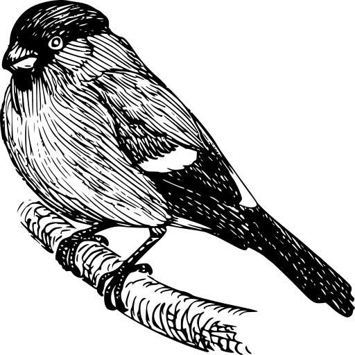 A Bird Sitting On A Branch 2