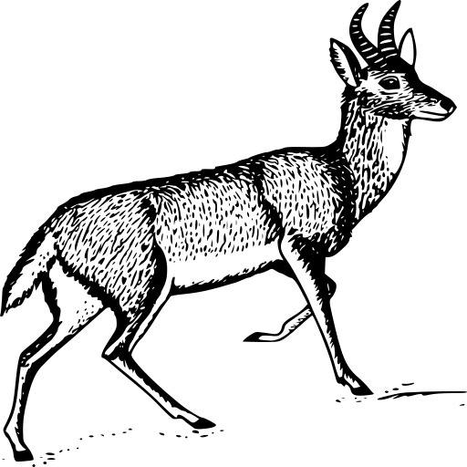 흑백 Drawing 의 Ant Deer