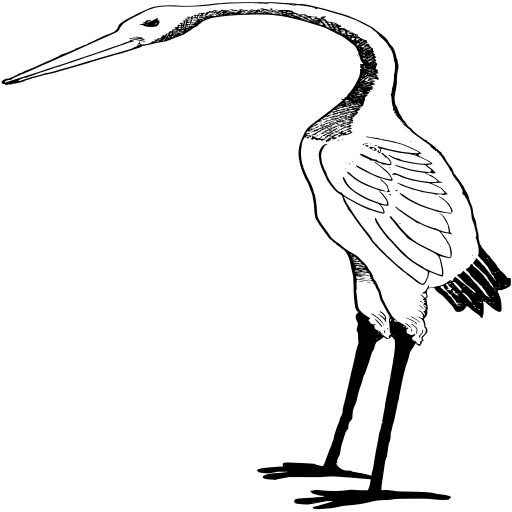 Crane 벡터 일러스트레이션
