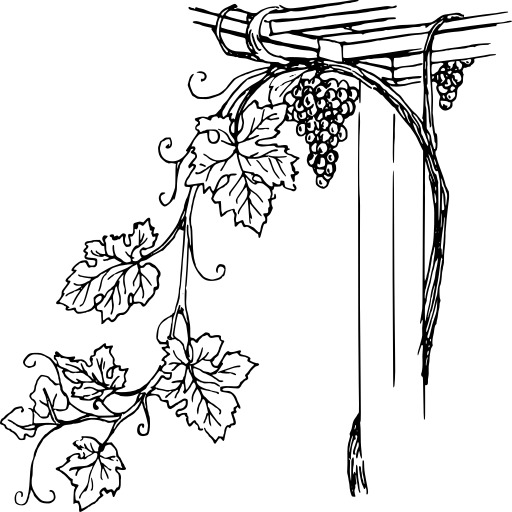 Grape Vine 벡터 일러스트레이션