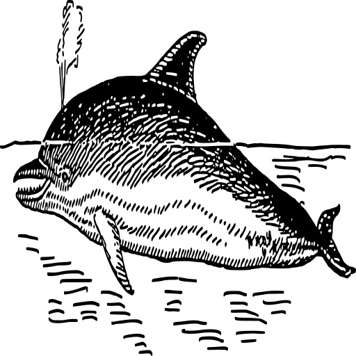 Great 흰색 Shark, 빈티지 선 Drawing 또는 Engraving 일러스트레이션