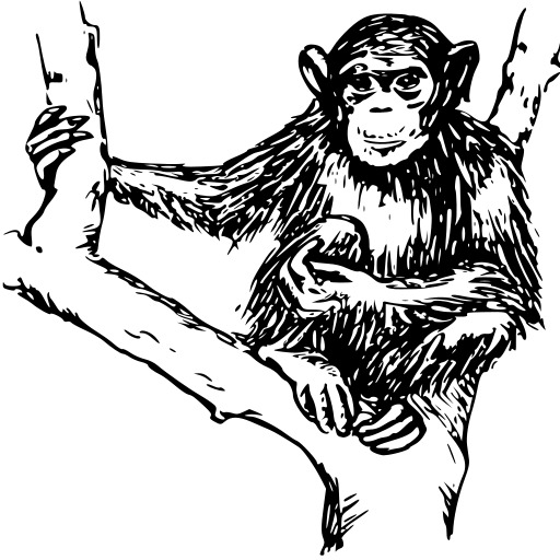 Monkey 안의 검은색 Ink 흰색 배경