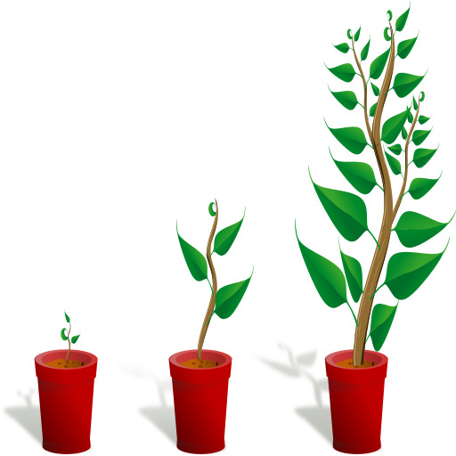 초록색 plant 안의 its pot 안의 three different phases 의 growth